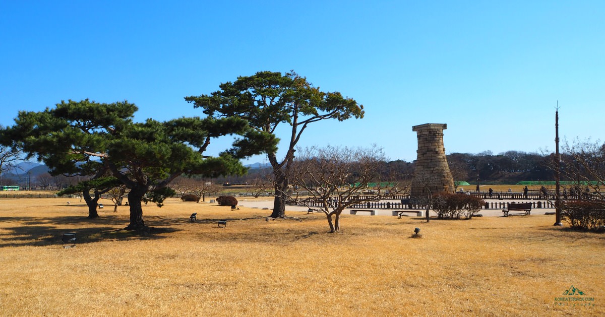 cheomseongdae-gyeongju-trees-view