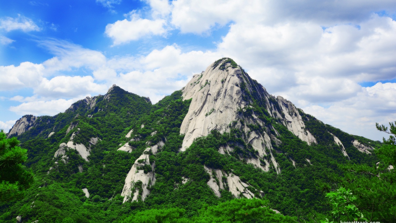 mangnyeongdae-peak-bukhansan-national-park-green-trees