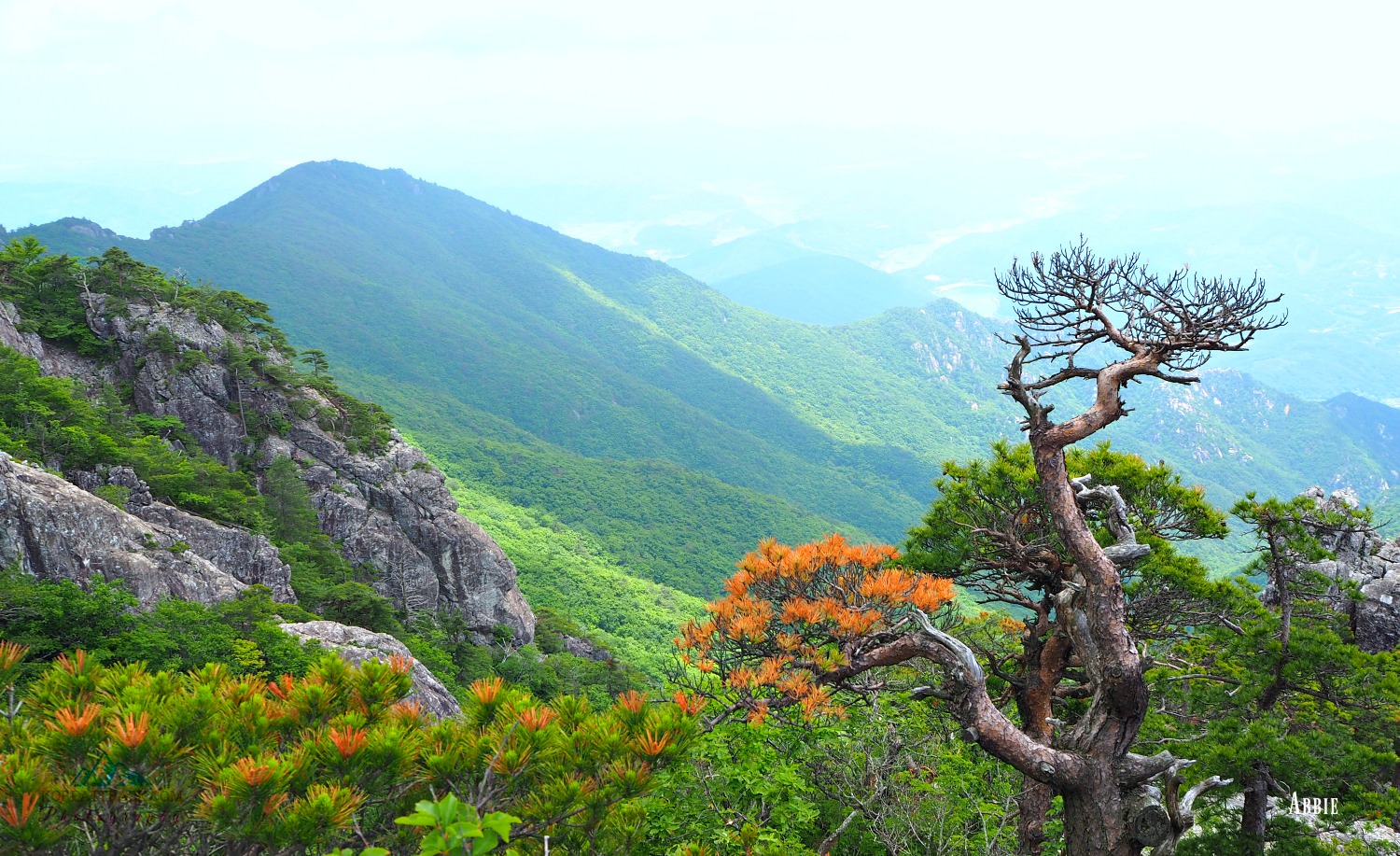gayasan-mountain-views-colored-tree-leaves