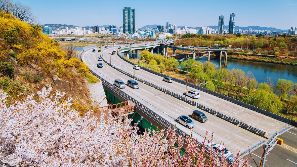 Eungbongsan Cherry Blossom and Forsythia Festivals. The Mountain is a popular destination for those seeking stunning panoramic vistas of the Han River, Seoul. 