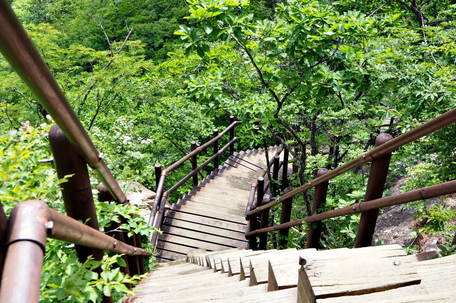gayasan-mountain-steps