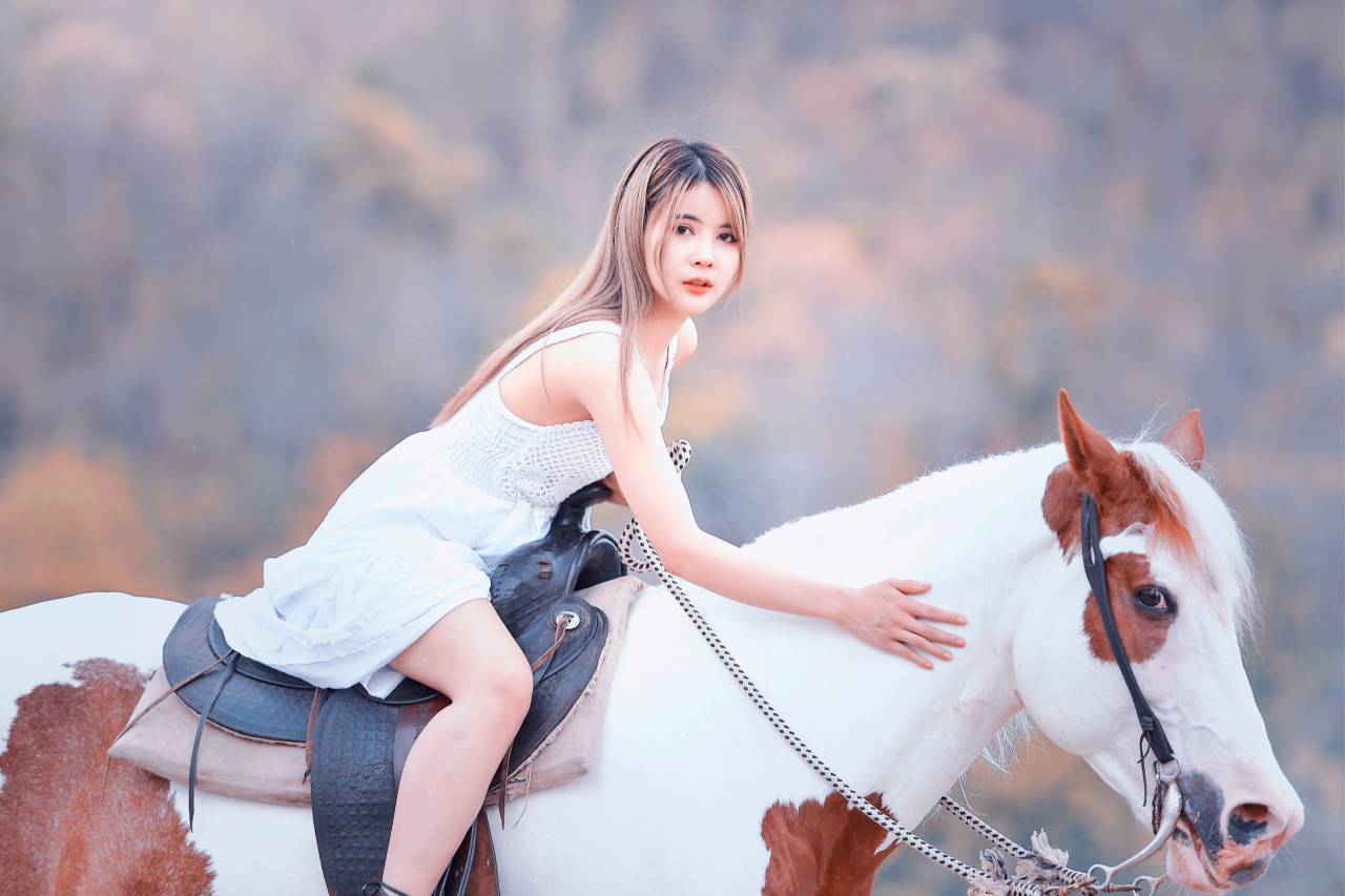 horseback riding horse woman