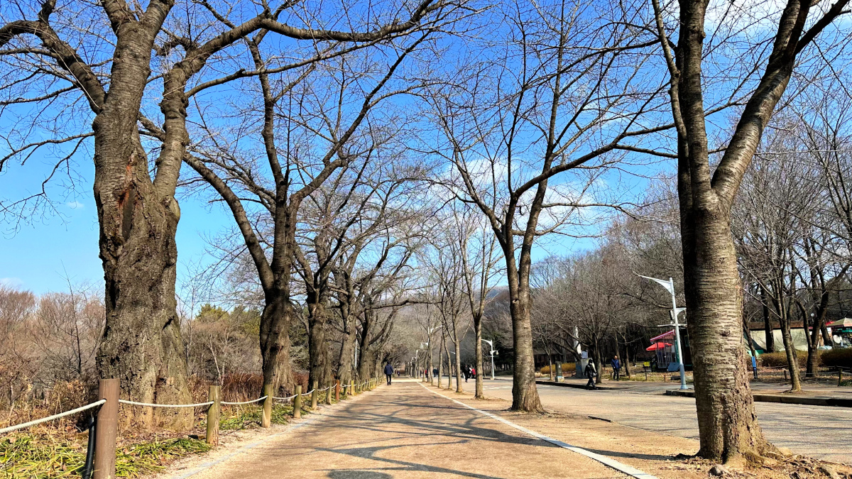 incheon-grand-park-pathway-sand