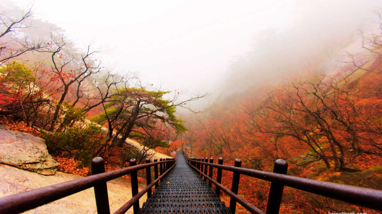 mangnyeongdae-peak-bukhansan-national-park-misty-autumn