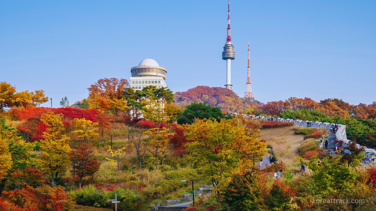 namsan-cable-car-in-seoul-tower-autumn-leaves-view