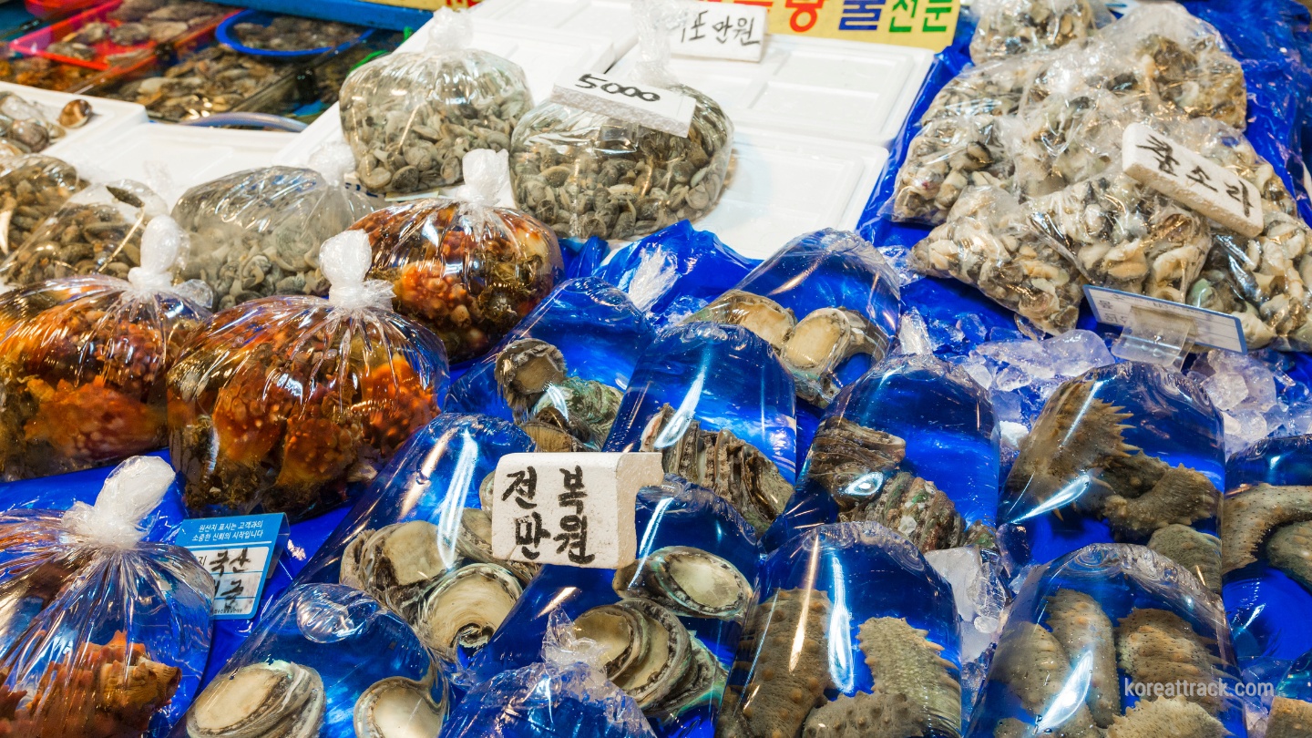 noryangjin-fish-market-seafood-shells-cucumber