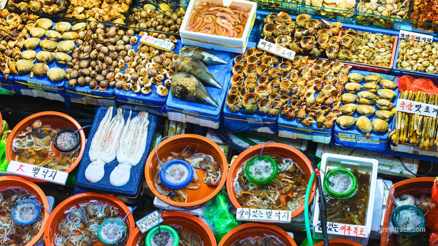 noryangjin-fish-market-shellfish-squid-clam-octopus