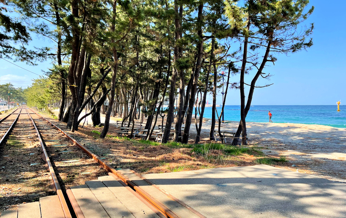 Samcheok Rail Bike is an exciting ride by the seaside using the unused railway along the east coast. Enjoy the beautiful seaviews and cool shade of pine trees.