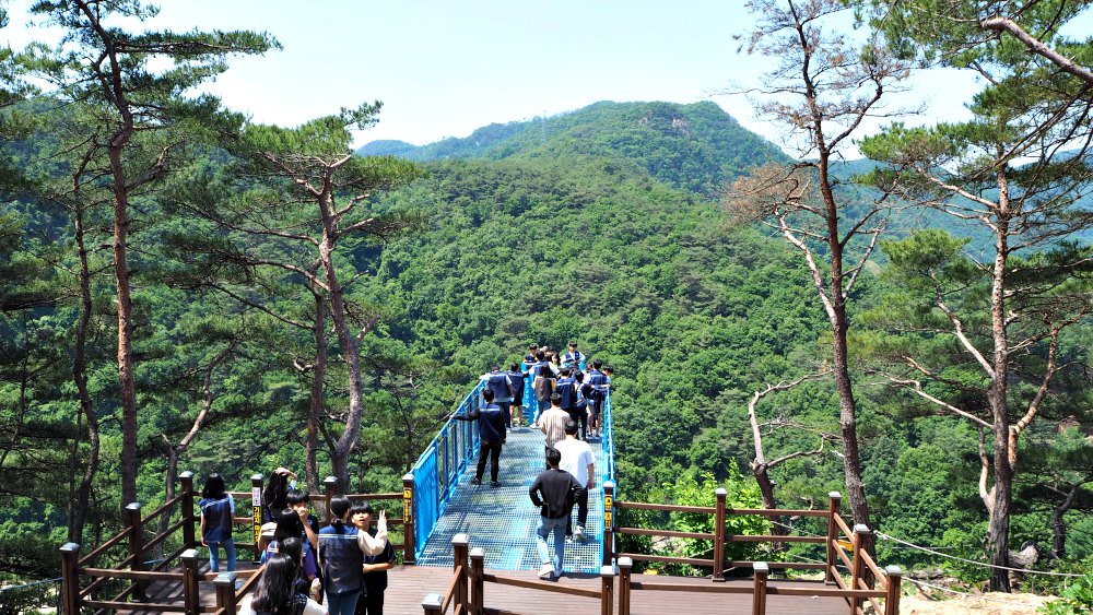 wonju-rocking-bridge