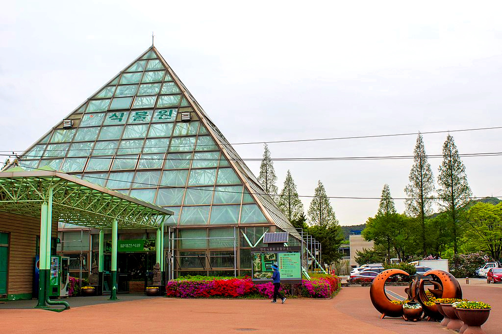 Ansan Botanical Garden is a beautiful greenhouse for various plant species found in tropical and subtropical countries. It also houses insects, fish, etc.