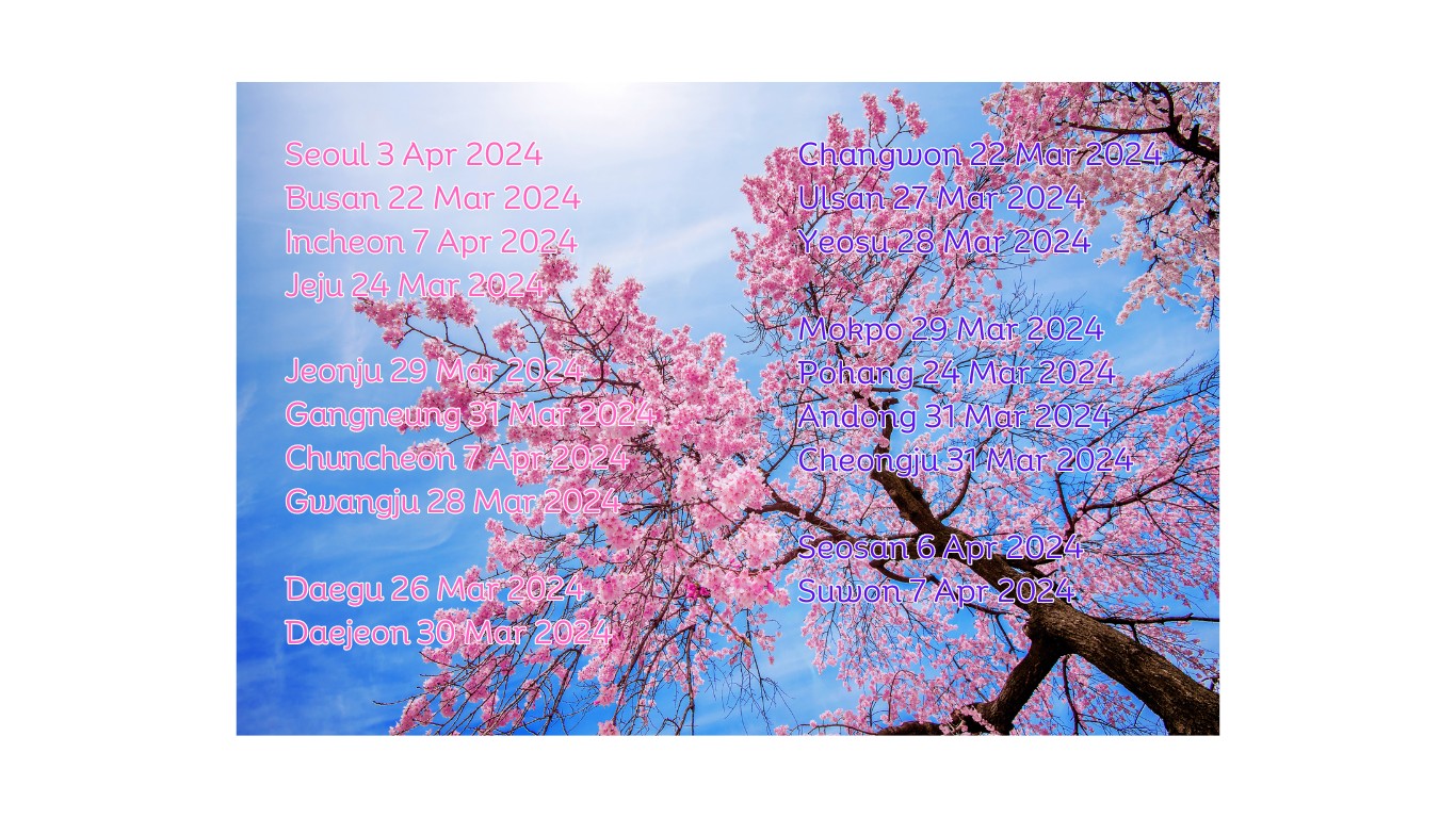 cherry blossom blooming dates spots