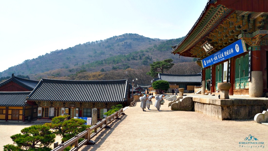 Beomeosa Temple is one of the most popular Korean temples in the country. It is built in the beautiful mountainside attracting visitors coming from everywhere.