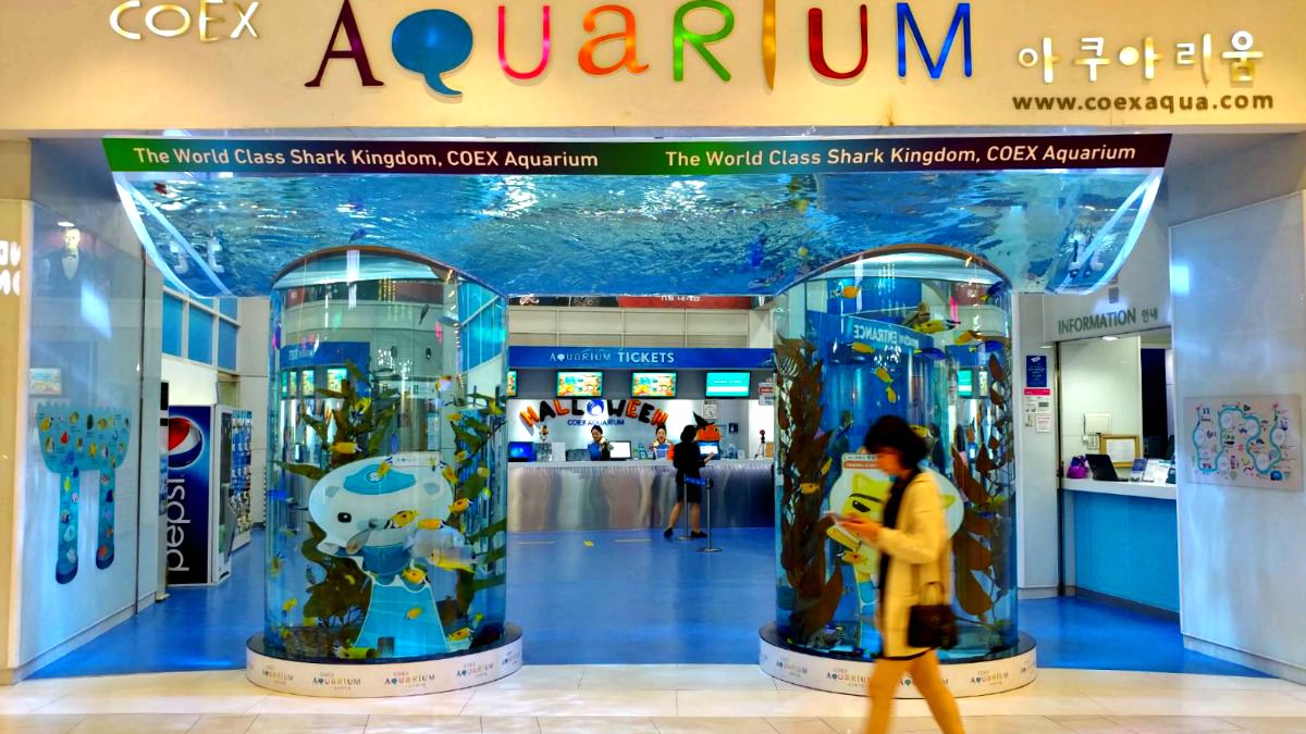 seoul-coex-aquarium