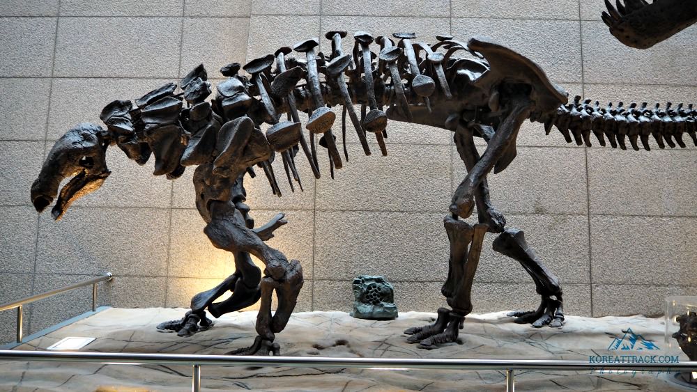 daejeon-geological-museum-dinosaur