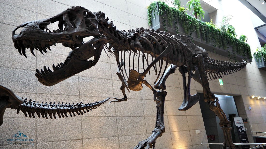 Kigam Geological Museum exhibits interesting specimens of plants and animals that lived millions of years ago. See the T-Rex, Stegosaurus, and other fossils.