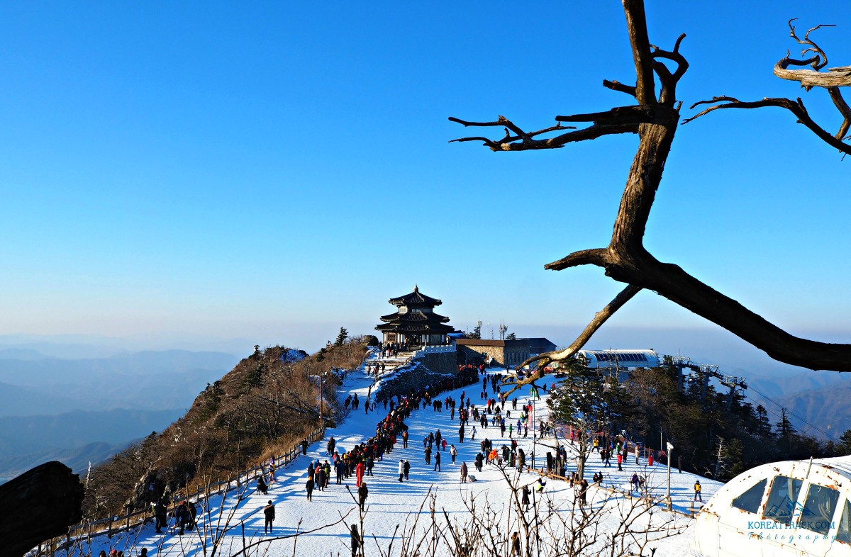 deogyusan-hyangjeokbong-peak-snow-gondola-pavilion
