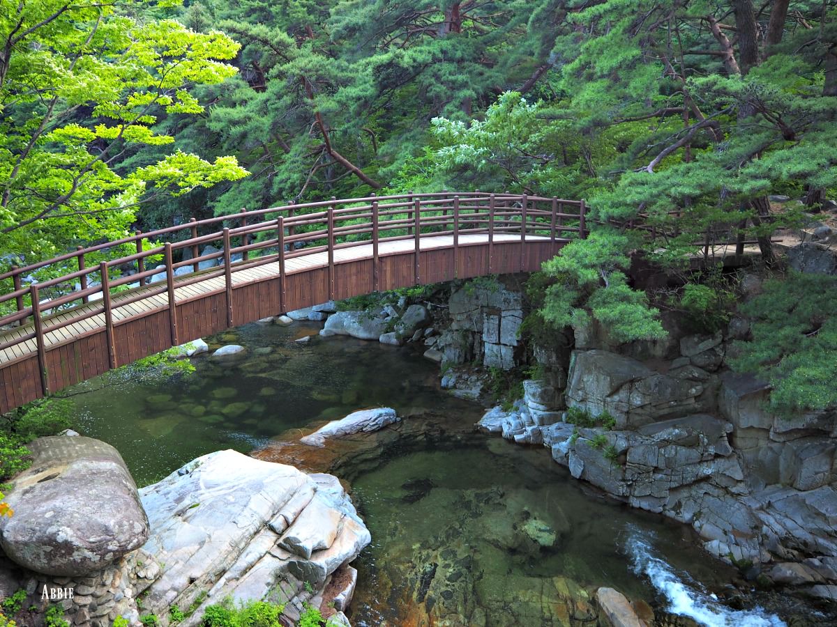 gayasan-park-bridge-stream-clear-water-rocks