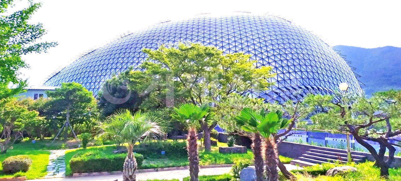 Geoje Jungle Dome is a colossal botanical structure that houses thousands of tropical and subtropical plants inside the egg-shaped glass strucutre.
