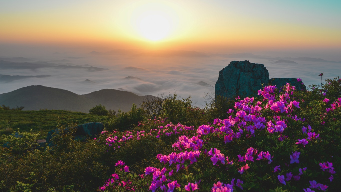 gwangju-spring-flowers-mudeungsan-view-sunset