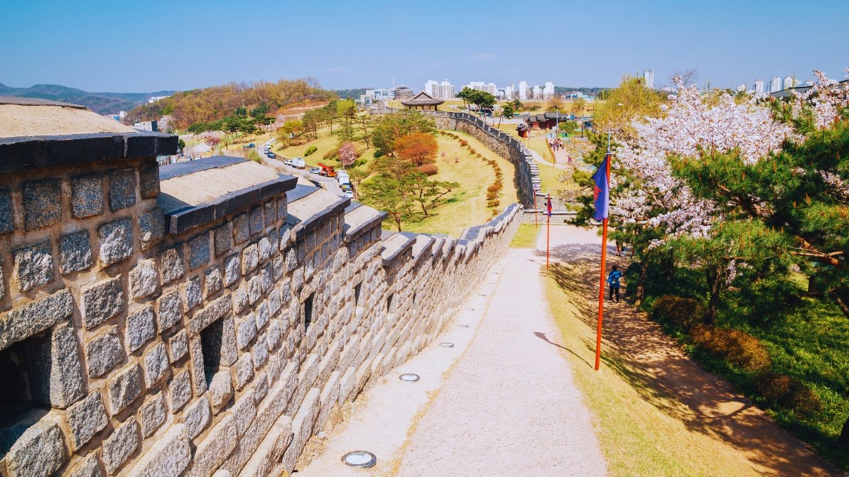 The Hwaseong Fortress and Cherry Blossoms. At the fortress, there is a festival that includes a visit to a flower park, where you can see colorful flowers.