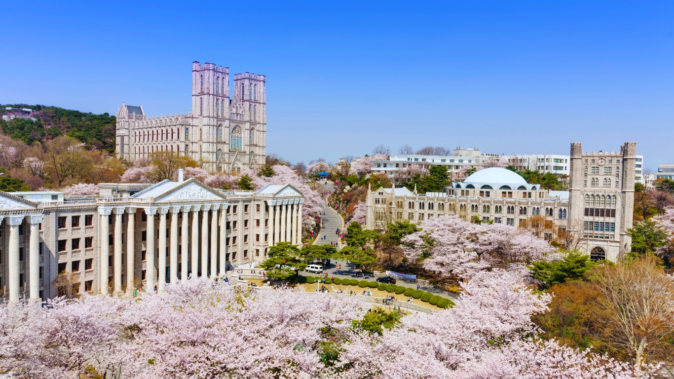 kyung-hee-university-cherry-blossoms-2024
