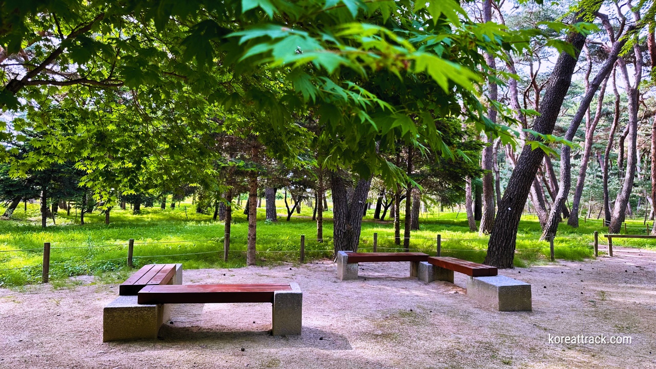 sareung-royal-tomb-sitting-area-benches-sits-trees