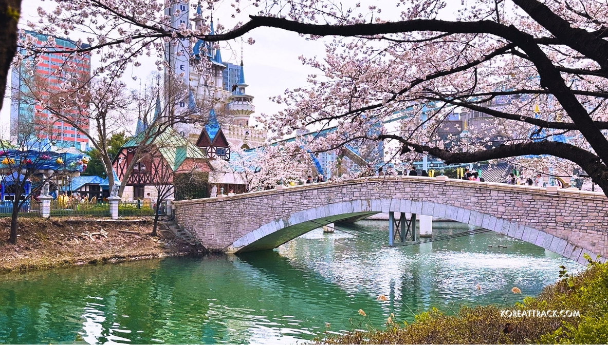 seokcheon-lake-cherry-blossom-2024-lotte-world-bridge-view