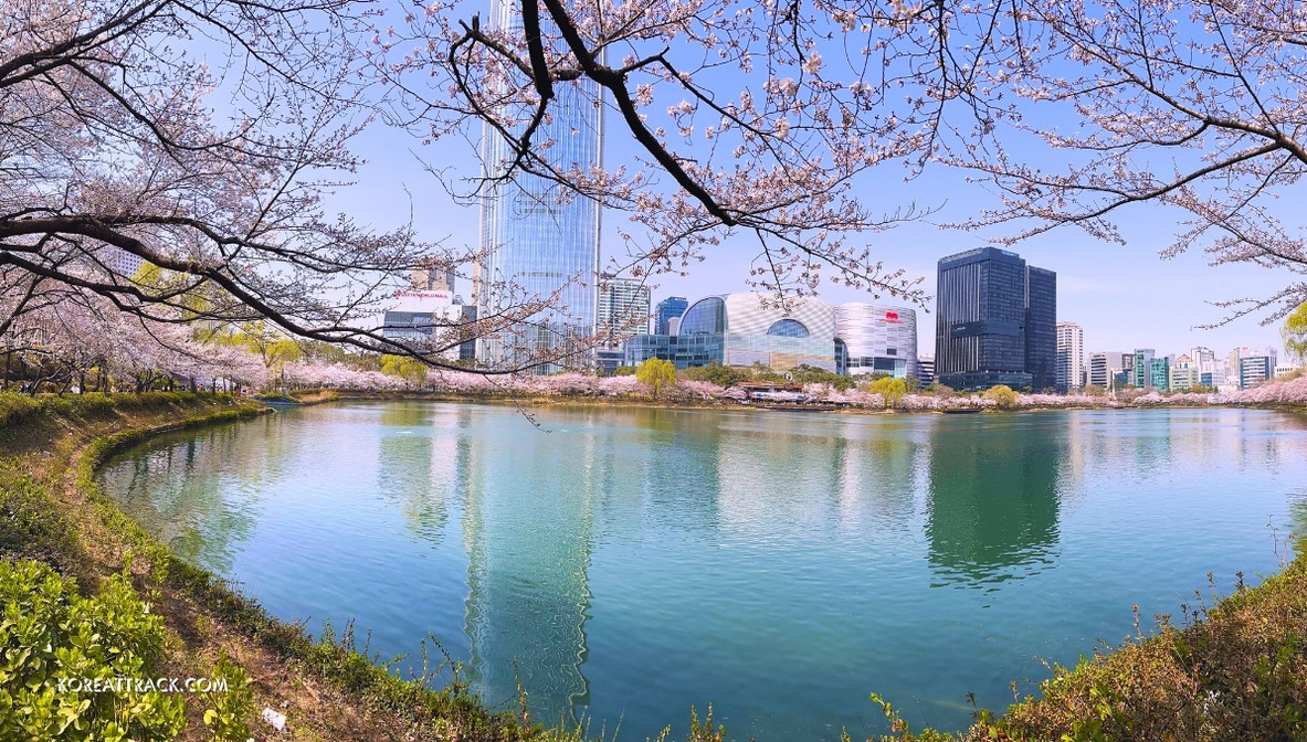 seokchon-lake-cherry-blossom-tower--full-lake-view-2024-8
