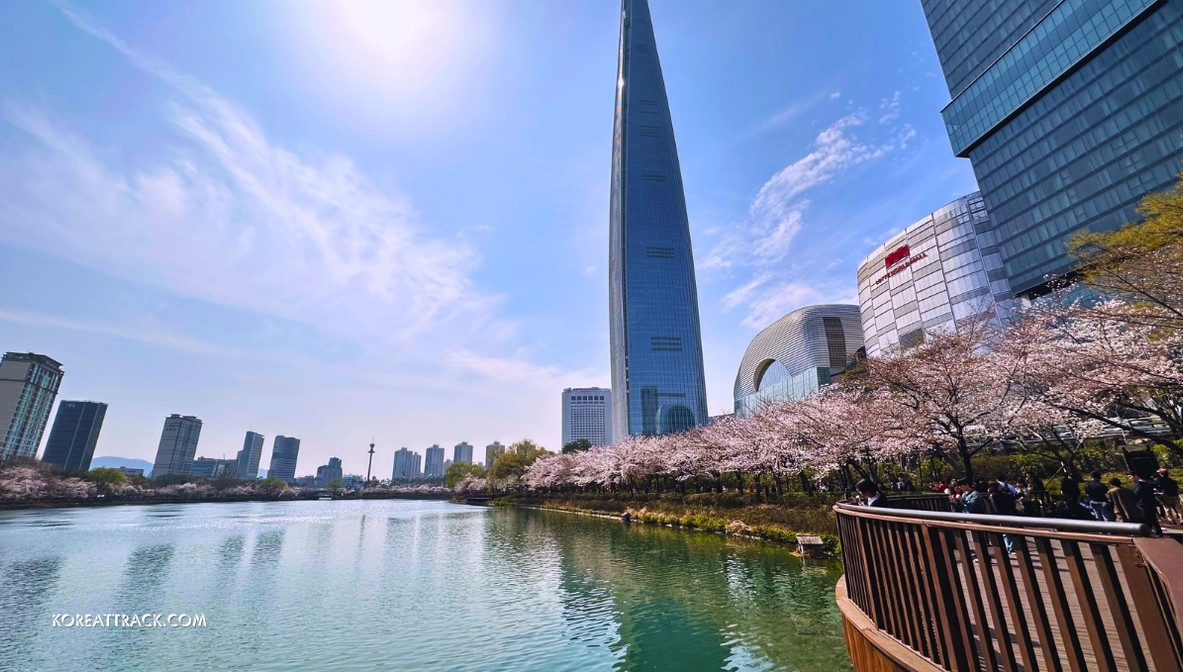 seokchon-lake-cherry-blossom-tower-2024-1