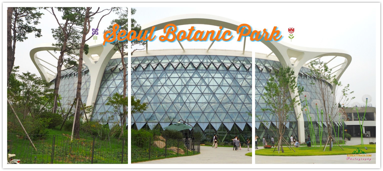 Seoul Botanic Park is one-of-a-kind tropical park and garden facility in Seoul. It showcases over 3,000 endemic plants and will be increased to 8,000 soon.