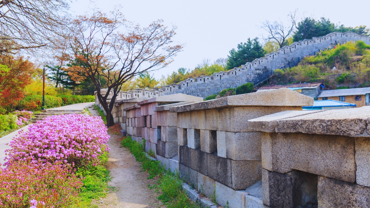 seoul-city-wall-hiking-path-spring