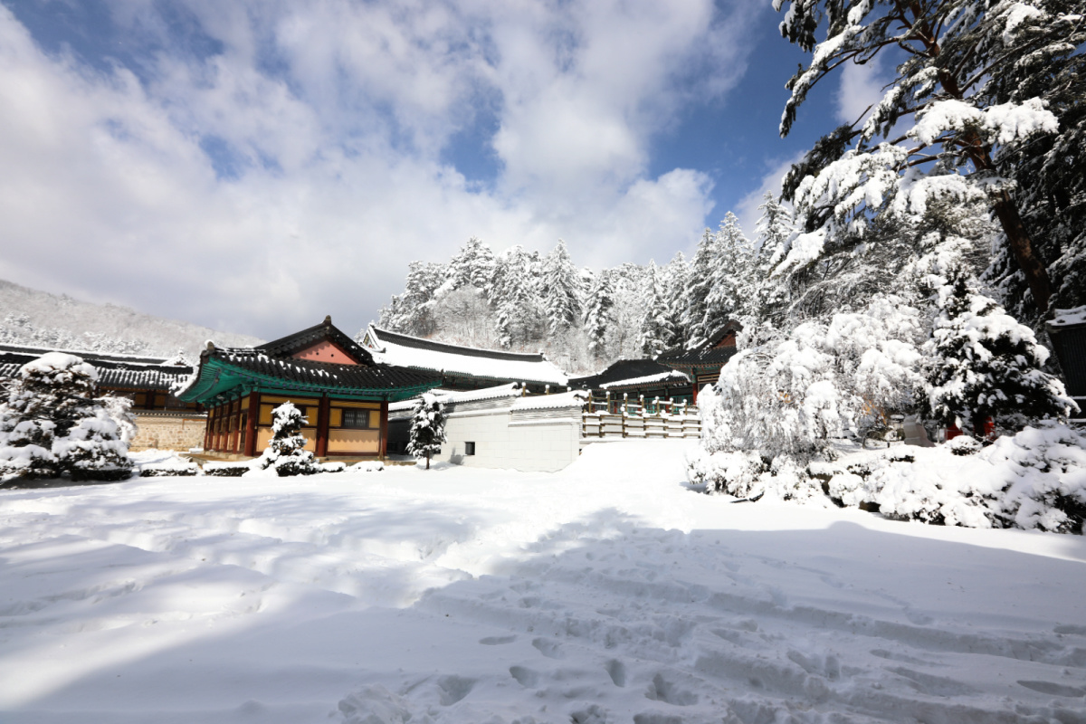 woljeongsa-temple-foreground-snow