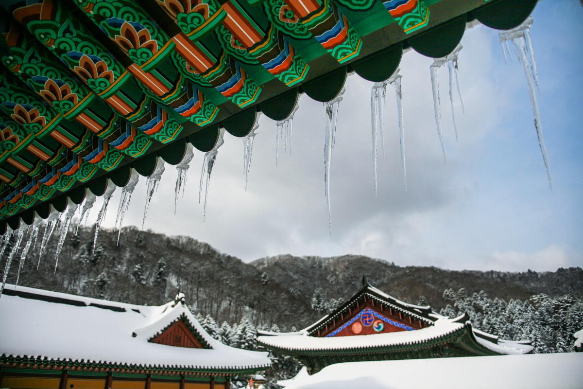 woljeongsa-temple-icy-roof