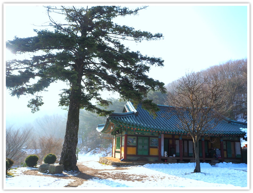 wolmyeongam-temple