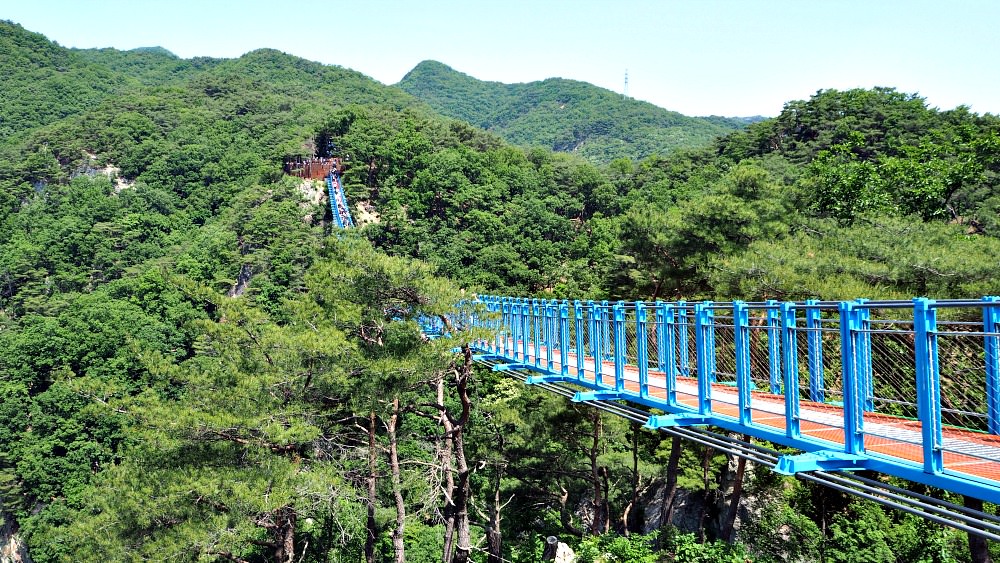 wonju-rocking-bridge