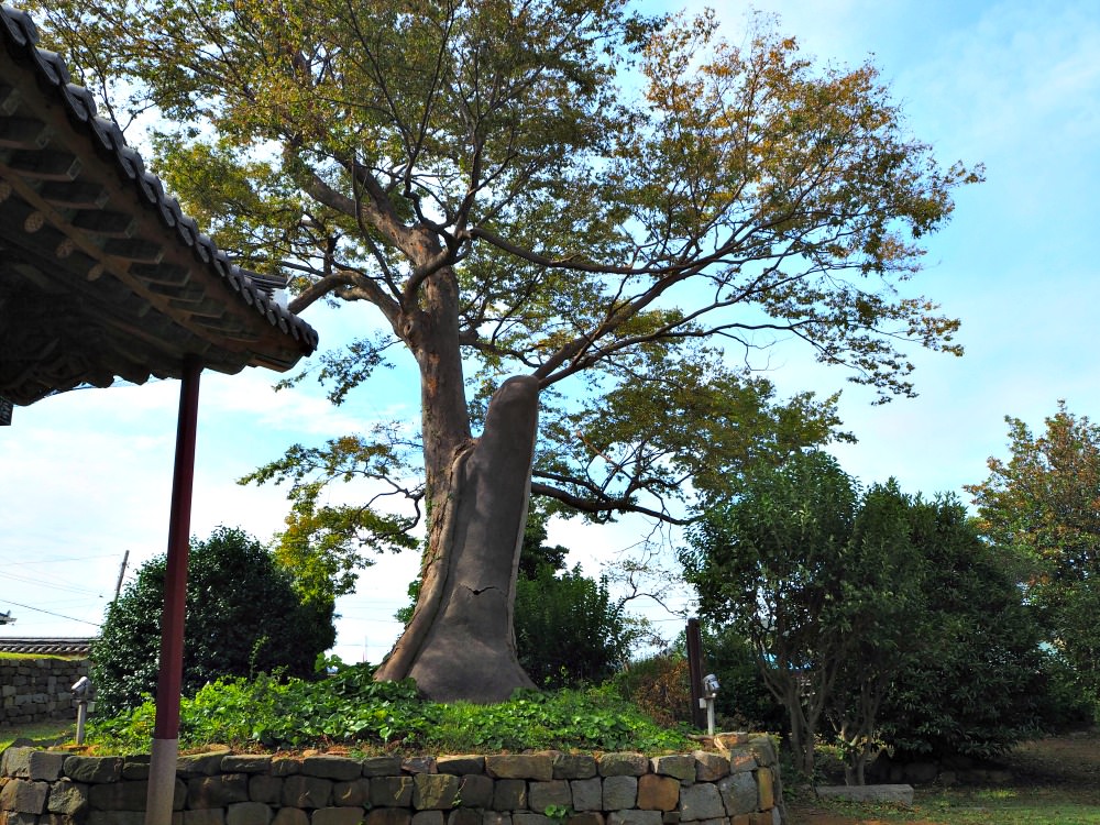 yi-sun-sin-victory-stele-tree